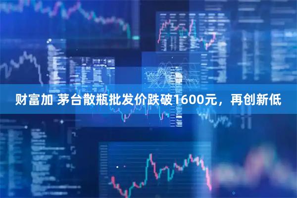 财富加 茅台散瓶批发价跌破1600元，再创新低
