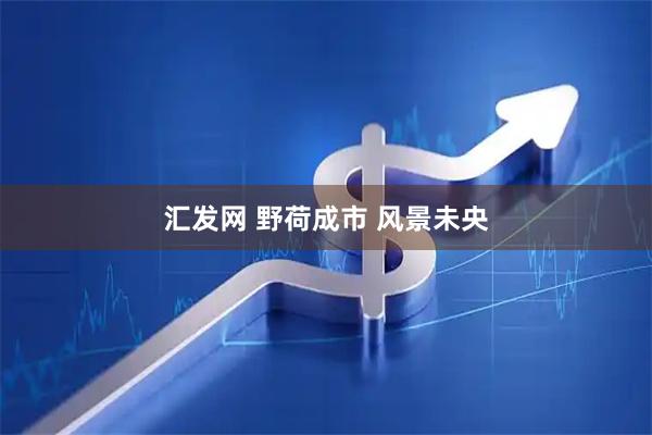汇发网 野荷成市 风景未央