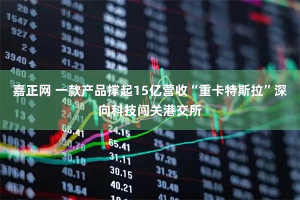嘉正网 一款产品撑起15亿营收“重卡特斯拉”深向科技闯关港交所