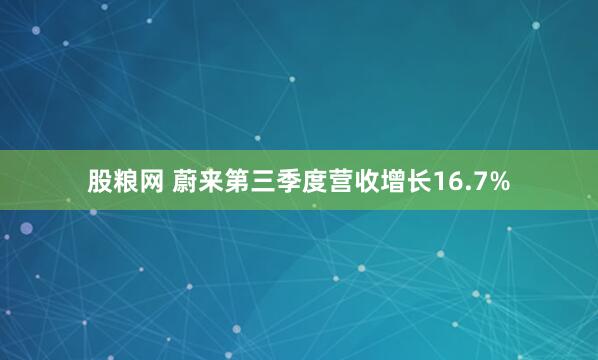 股粮网 蔚来第三季度营收增长16.7%