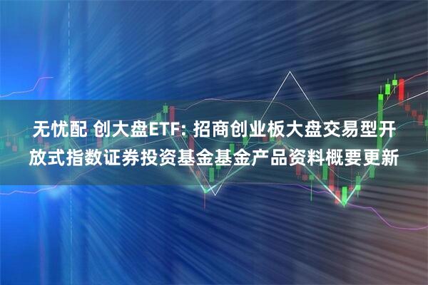 无忧配 创大盘ETF: 招商创业板大盘交易型开放式指数证券投资基金基金产品资料概要更新