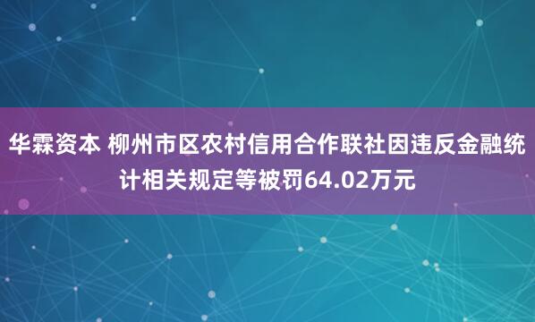 华霖资本 柳州市区农村信用合作联社因违反金融统计相关规定等被罚64.02万元
